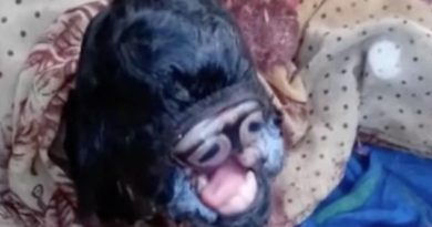 Cabra “alienígena” nascida com olhos dentro da boca é adorada na Índia (vídeo)