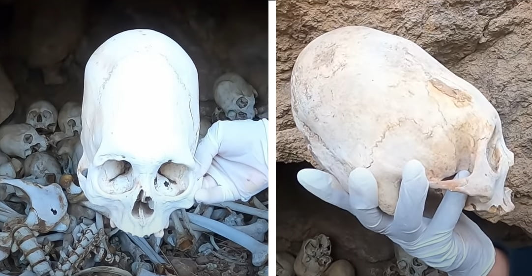 Vídeo com crânios peruanos antigos viraliza na internet. Seriam evidências de alienígenas na Terra?