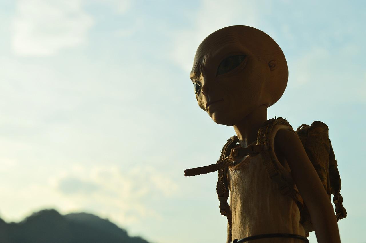 A aparência de um alienígena mochileiro - imagem de Ribastank