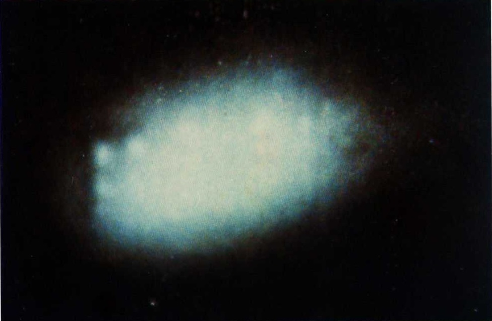 Justiça Federal mantém segredo para vídeos de óvnis da Operação Prato ...