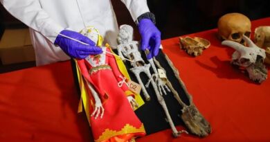 Bonecas com ossos de animais: análises de especialistas forenses do Peru revelam que Múmias de Nazca são fraudes (Foto Ministério da Cultura do Peru)